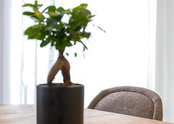 Brand New Luxurious 2-bedroom Duplex Appartement *