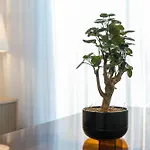 Brand New Luxurious 2-bedroom Duplex Apartament