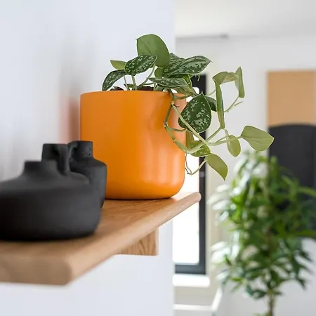 Brand New Luxurious 2-bedroom Duplex ポルト