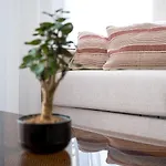 Brand New Luxurious 2-bedroom Duplex Oporto